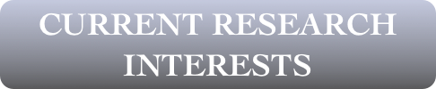 CURRENT RESEARCH INTERESTS